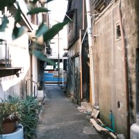 神奈川県三浦市三崎の賃貸物件/目の前の路地