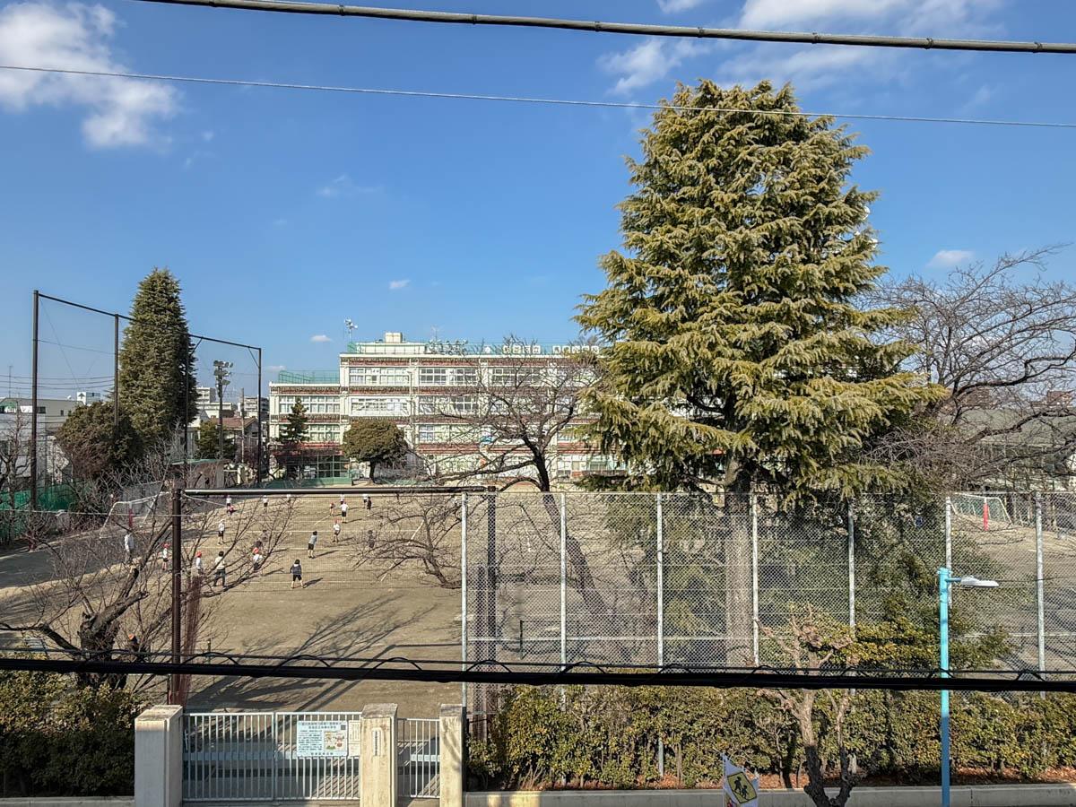 杉並区高円寺北の売買物件/窓先はこのような景色。冬でもモミの木が緑を感じさせてくれます。春には桜が花開きます