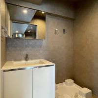 杉並区高円寺南の賃貸物件/302：洗面所