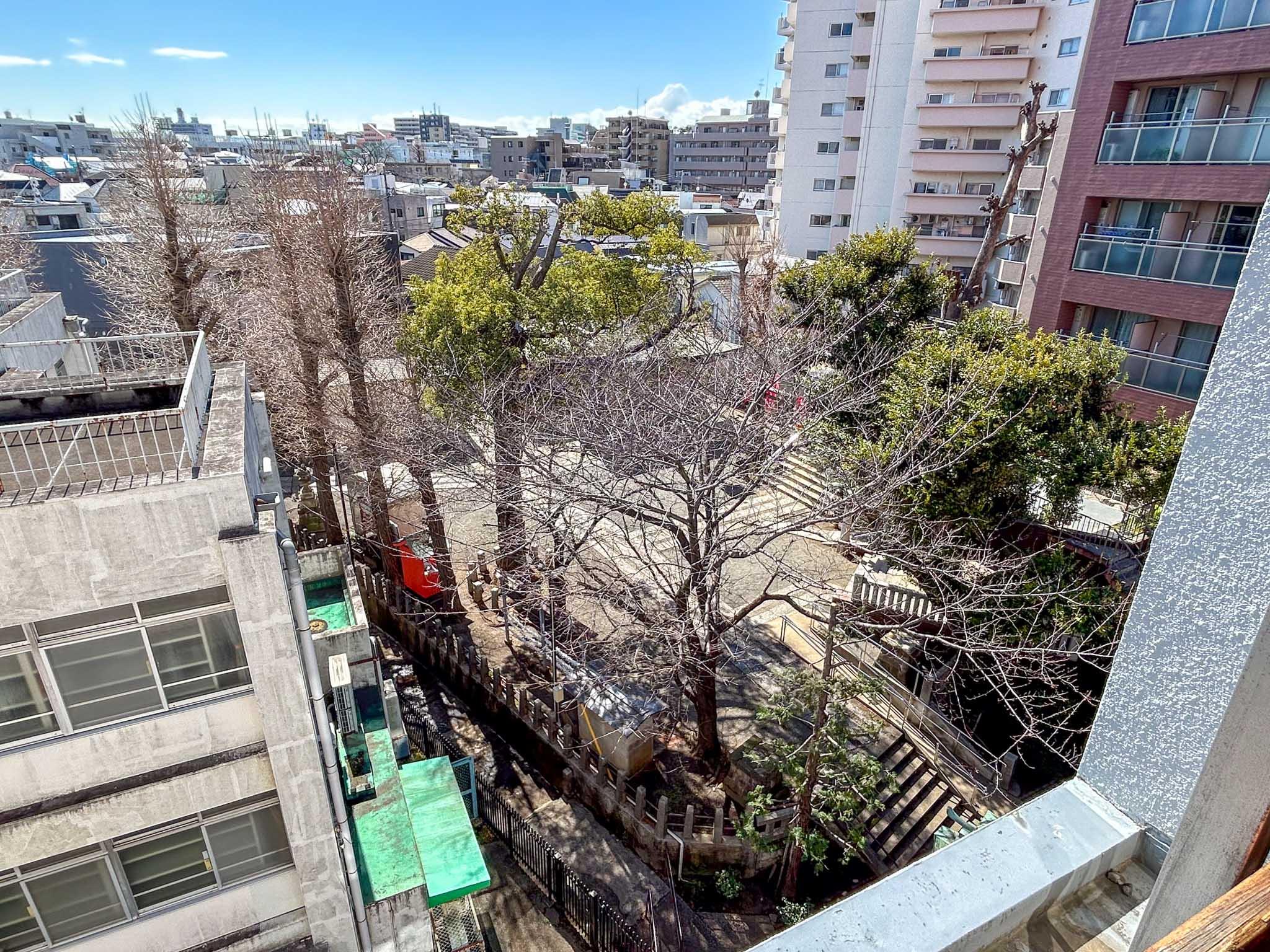 世田谷区池尻の賃貸物件/窓から見えるのは神社の緑