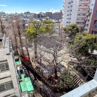世田谷区池尻の賃貸物件/窓から見えるのは神社の緑