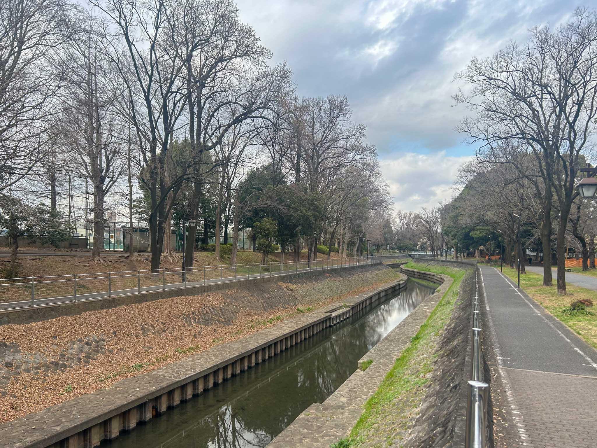 杉並区成田東の賃貸物件/善福寺緑地。散歩やランニングにぴったり