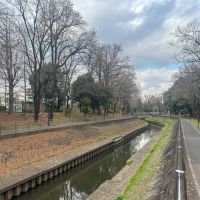杉並区成田東の賃貸物件/善福寺緑地。散歩やランニングにぴったり