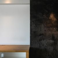 中野区中野の売買物件/個人的には、居室と廊下を色と材でくっきり切り替えているのがツボでした。黒い壁は一部、廊下床のカーペット材が使用されている