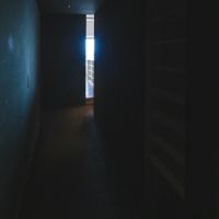 中野区中野の売買物件/写真が真っ暗ですみません、玄関廊下です。全面が、黒。床はカーペット材で、足触り良し