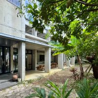 沖縄県宮古島市平良字下里の売買物件/沖縄らしい植物が生い茂る中庭