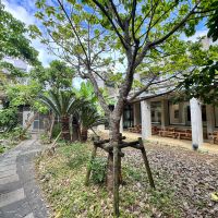 沖縄県宮古島市平良字下里の売買物件/中庭の奥には隣地の平屋があり、今後売主が飲食店をオープンする予定。できればこの中庭をシェアして、新たな所有者とこの場所を盛り上げていければ良いなという願いがあります