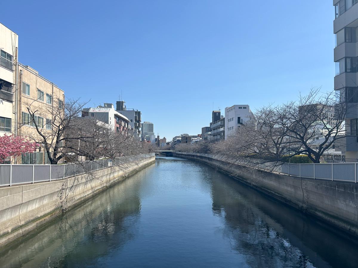 江東区平野の賃貸物件/目の前を通る仙台堀川。桜並木がずーっと続いています
