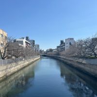 江東区平野の賃貸物件/目の前を通る仙台堀川。桜並木がずーっと続いています
