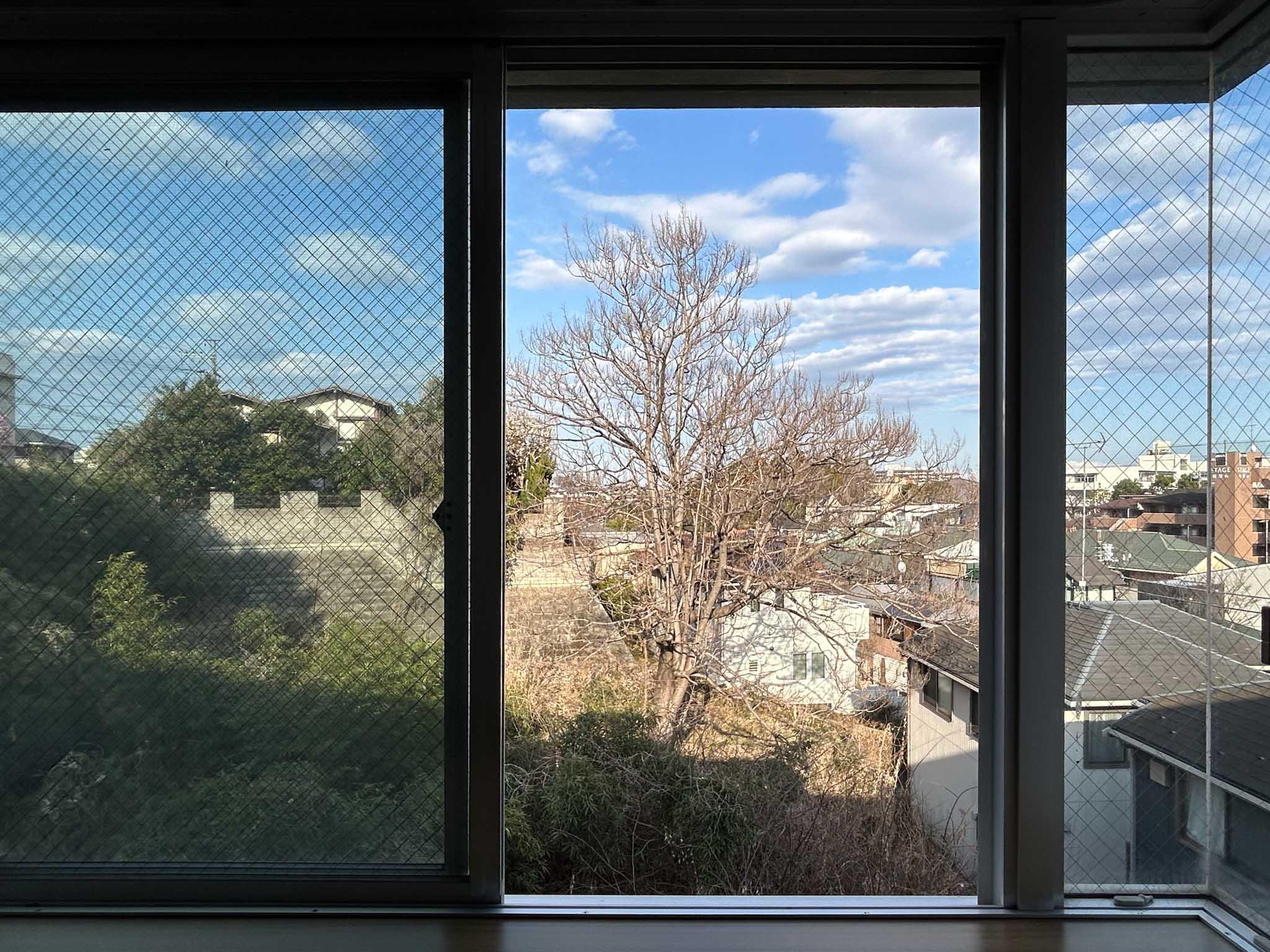 横浜市青葉区もえぎ野の賃貸物件/隣地の大木。葉が茂る季節が待ち遠しいです