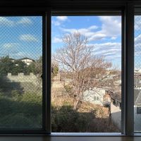 横浜市青葉区もえぎ野の賃貸物件/隣地の大木。葉が茂る季節が待ち遠しいです