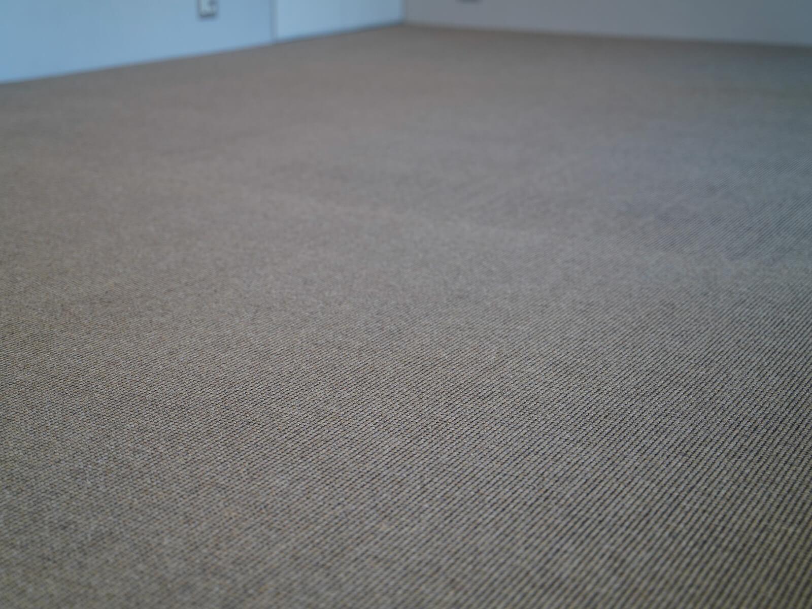 中央区月島の売買物件/床は質感の良いカーペット。コートやジャケットに使われていそうな織物のようなデザインです