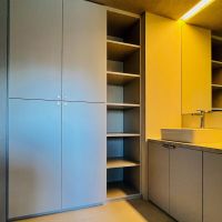 中央区月島の売買物件/洗面脱衣室は収納が多め