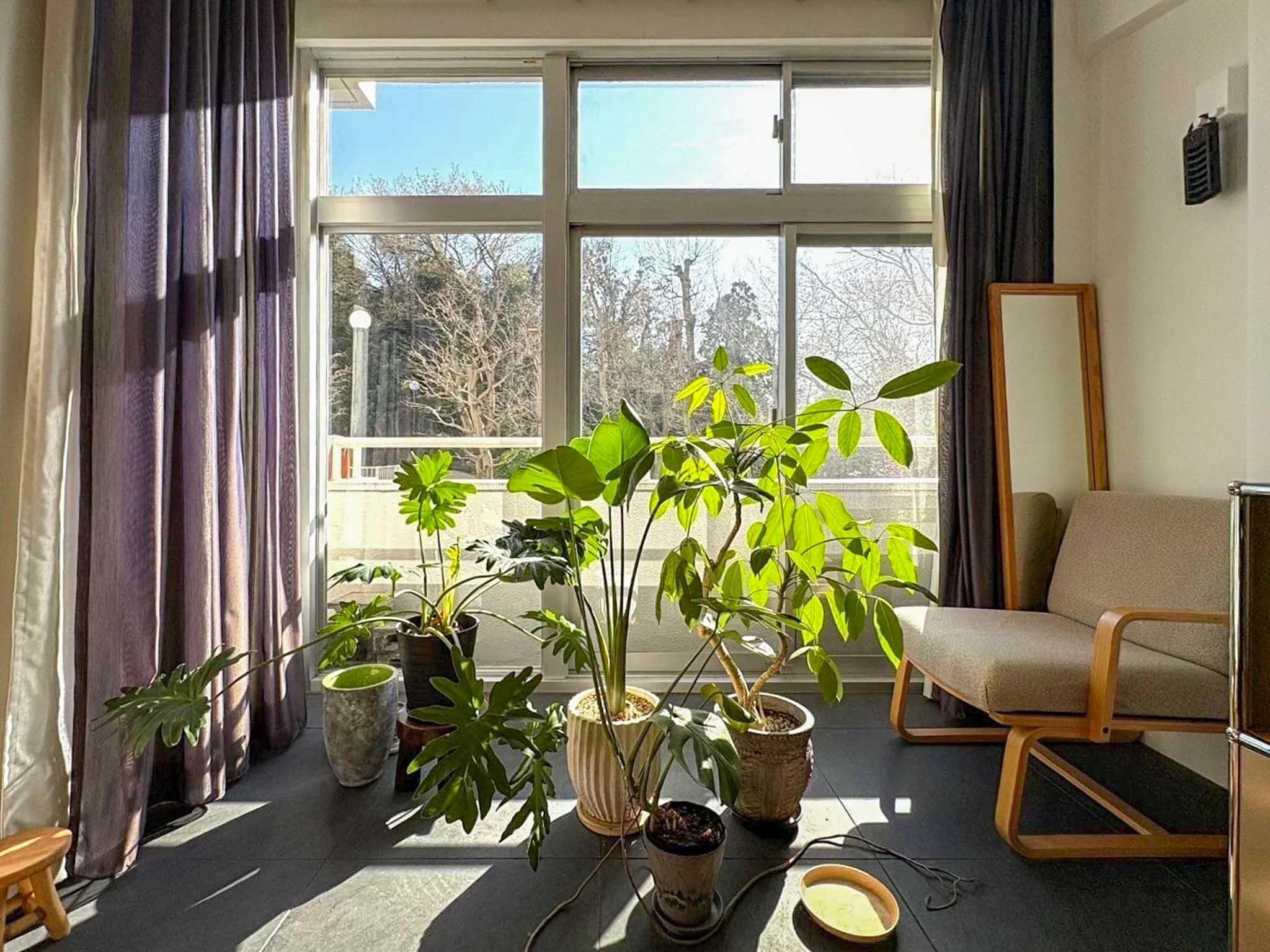 横浜市港北区日吉本町の売買物件/陽当たりのいいインナーテラス。植物もすくすくと育ちそう