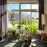 横浜市港北区日吉本町の売買物件/陽当たりのいいインナーテラス。植物もすくすくと育ちそう