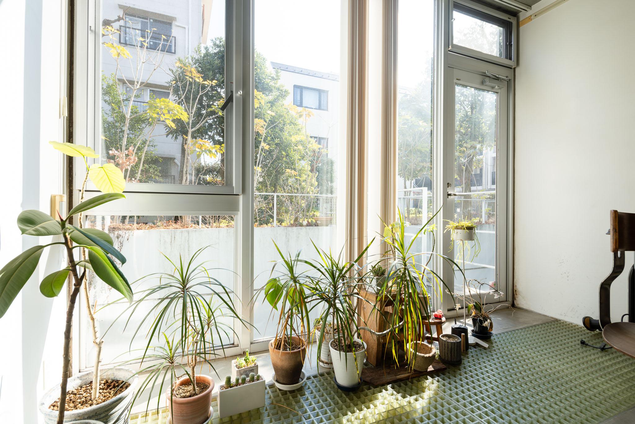 世田谷区上馬の売買物件/1階の窓際はグレーチングの床で下に光が落ちるような設計