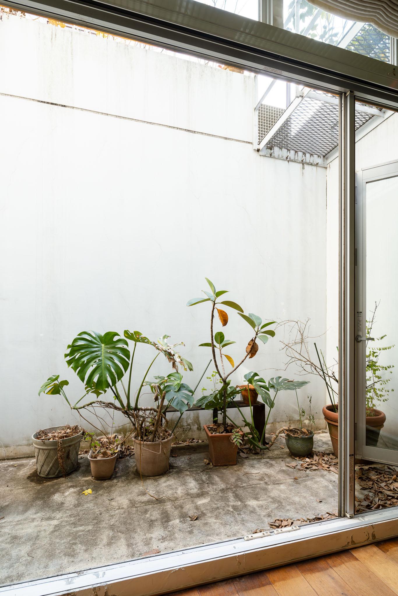 世田谷区上馬の売買物件/広めに取られたドライエリア