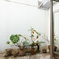 世田谷区上馬の売買物件/広めに取られたドライエリア