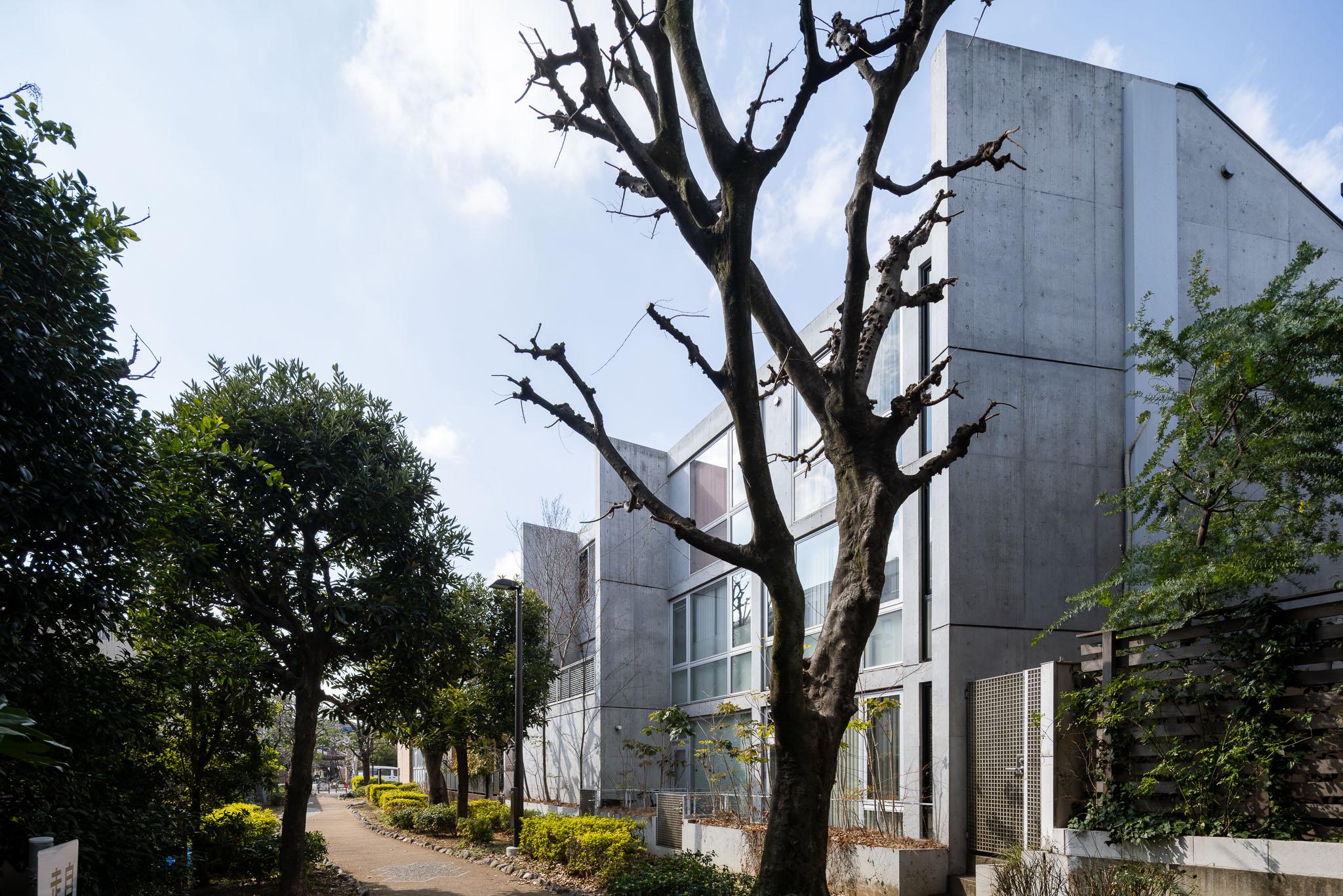 世田谷区上馬の売買物件/外観