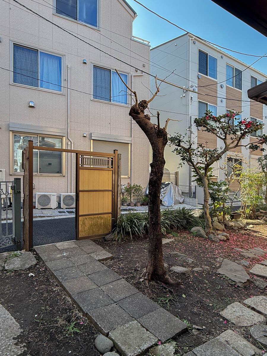 新宿区北新宿の賃貸物件/コンクリート平板のアプローチが、もの寂しげで雰囲気がある