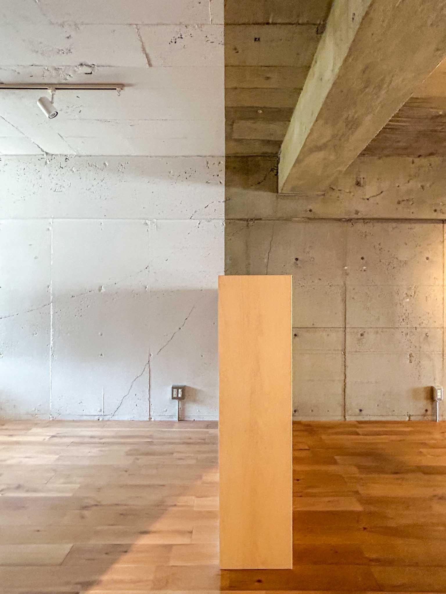 世田谷区池尻の売買物件/このスペースを境に仕上げの色味が変わっているのが面白い