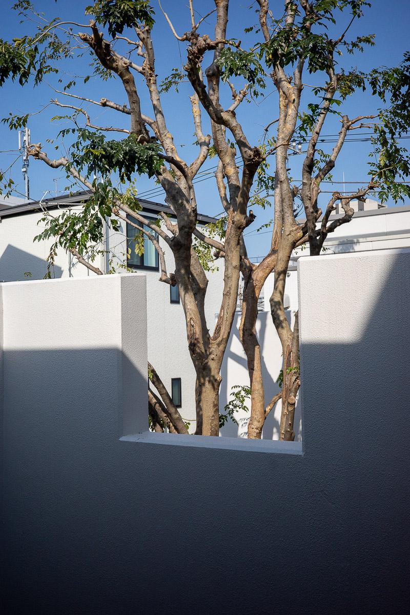 中野区沼袋の賃貸物件/フチ取られる緑