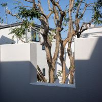 中野区沼袋の賃貸物件/フチ取られる緑