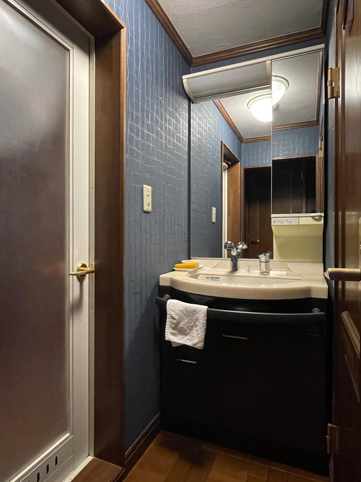 新宿区西新宿の賃貸物件/洗面所