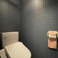 新宿区西新宿の賃貸物件/トイレ