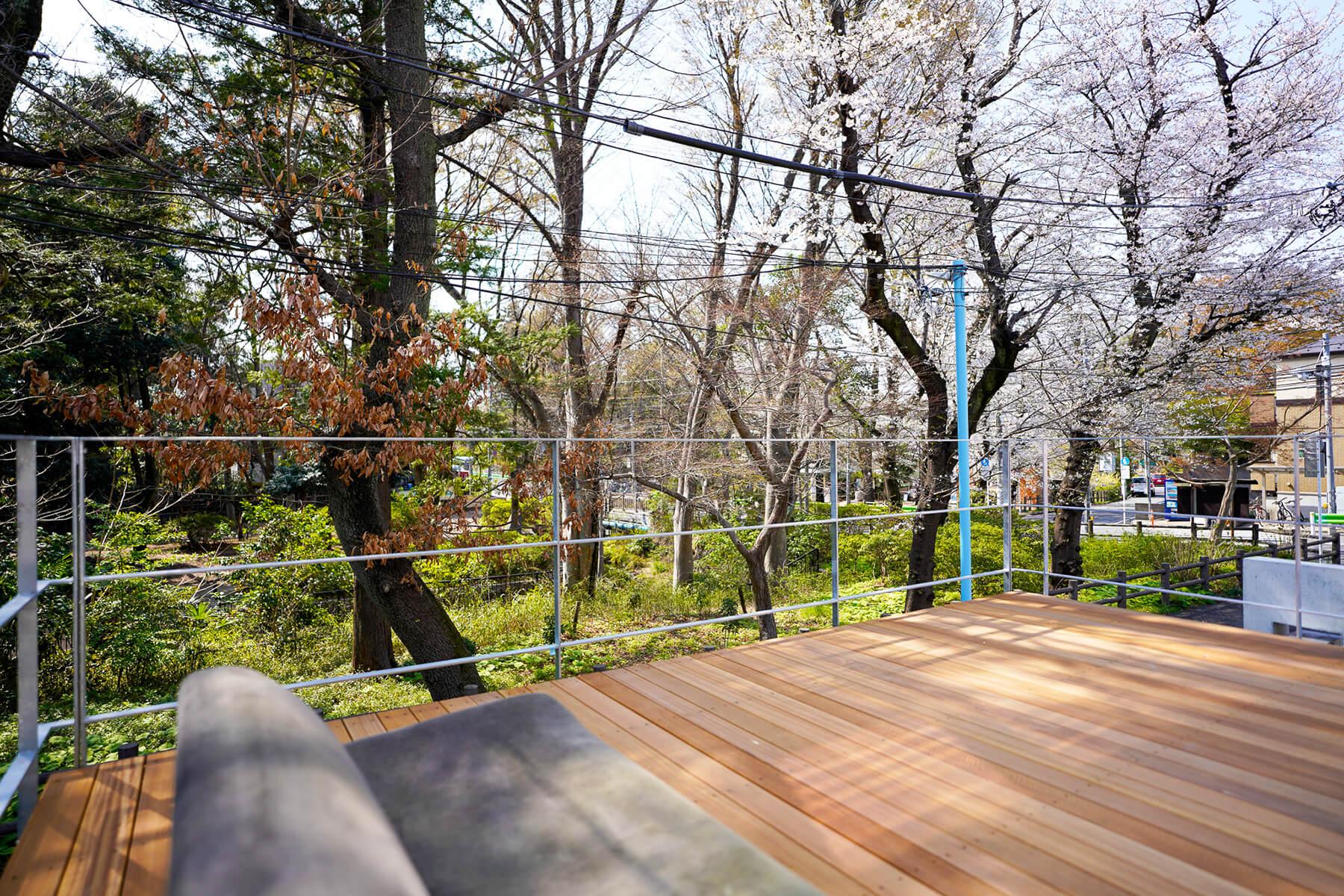 杉並区善福寺の賃貸物件/テラスに出るとこんな感じ。写真を撮影したときは桜が満開になる時期。テラスからお花見ができます