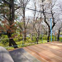 杉並区善福寺の賃貸物件/テラスに出るとこんな感じ。写真を撮影したときは桜が満開になる時期。テラスからお花見ができます