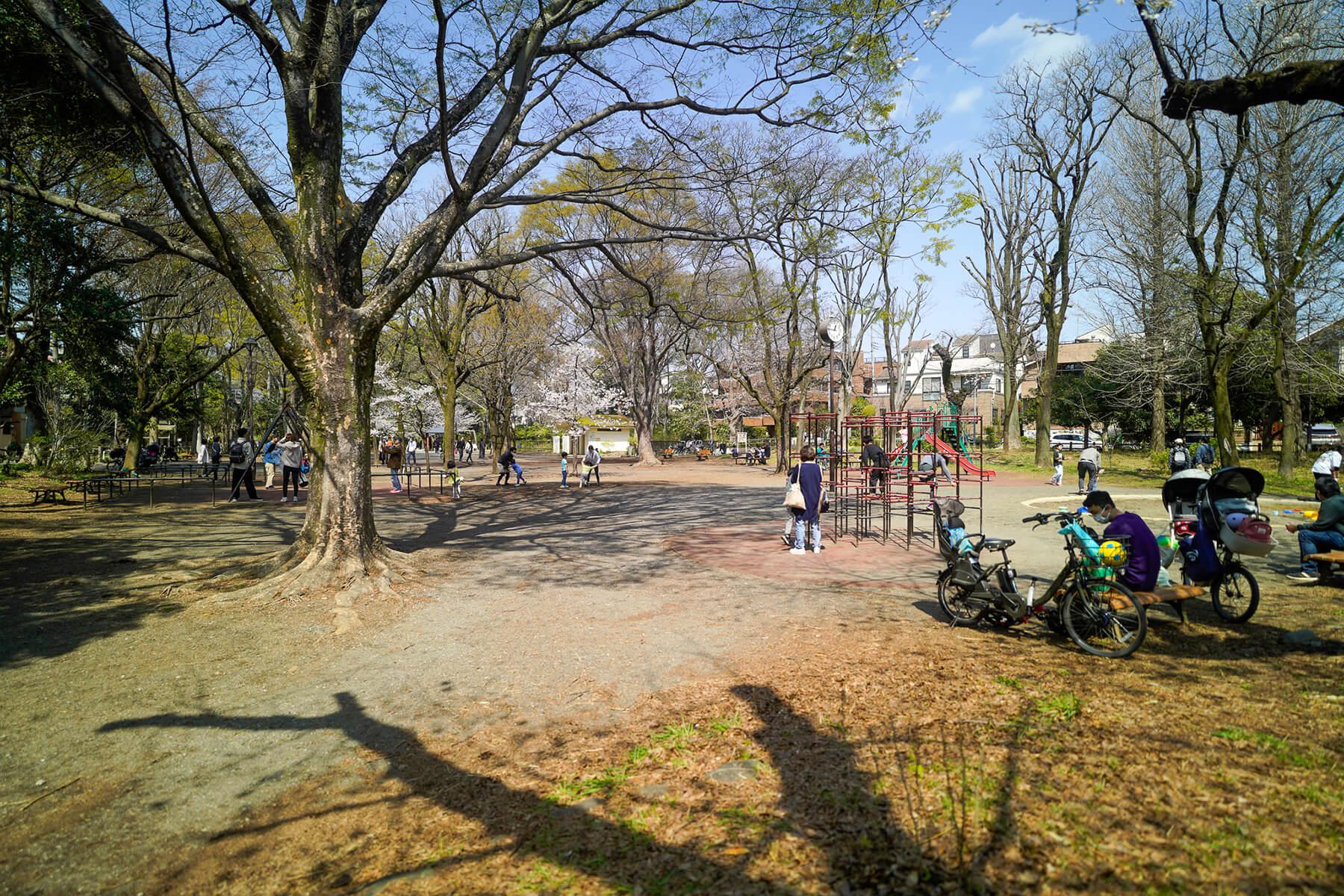 杉並区善福寺の賃貸物件/善福寺公園の下の池近くの遊び場