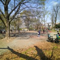 杉並区善福寺の賃貸物件/善福寺公園の下の池近くの遊び場