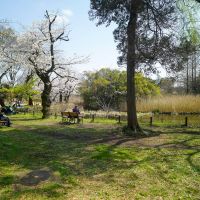 杉並区善福寺の賃貸物件/善福寺公園の下の池はのんびりまどろむことができるベンチがあります