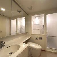 港区白金の賃貸物件/脱衣所と洗面トイレは一体に