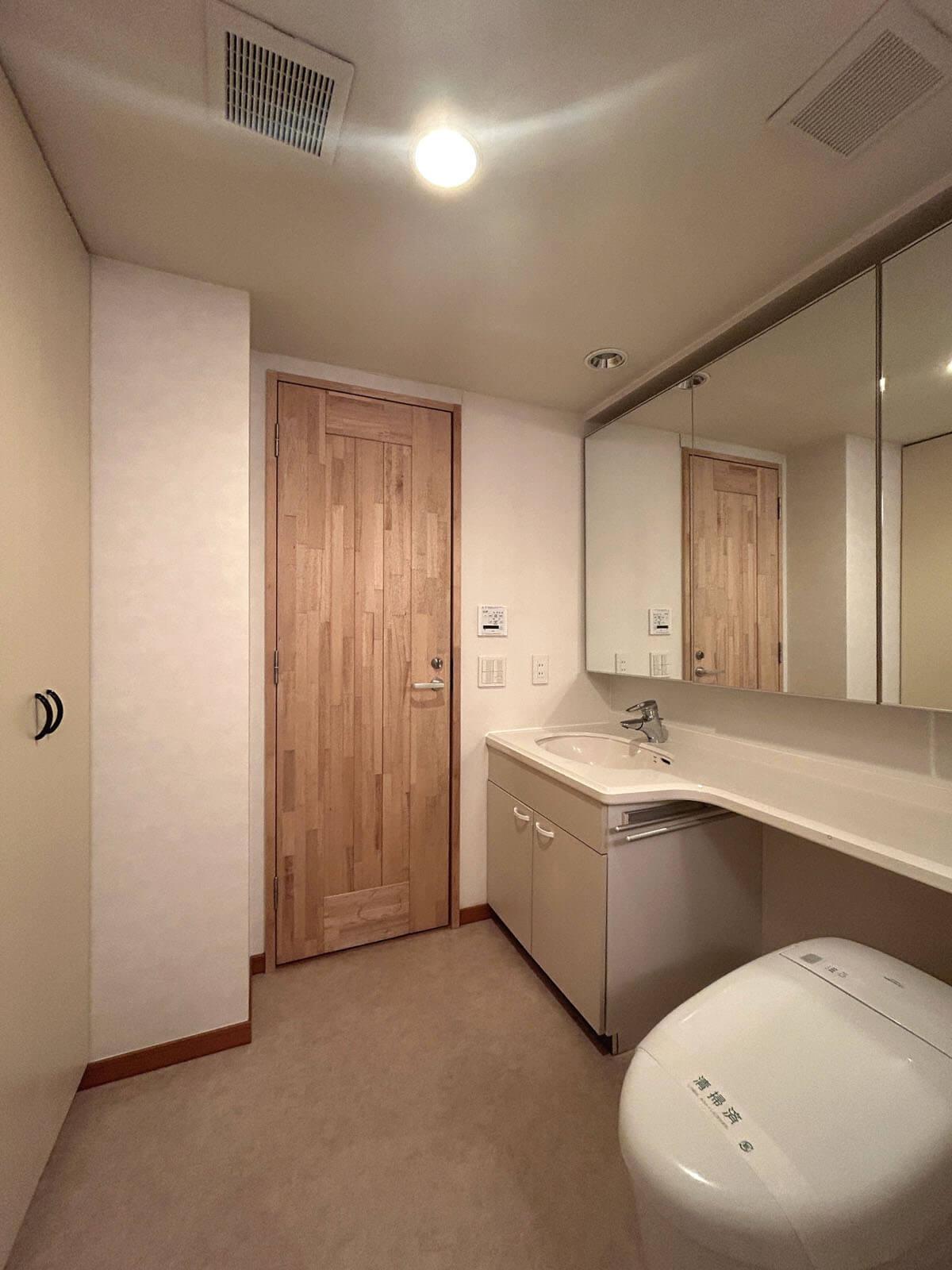 港区白金の賃貸物件/左手に天井までの収納棚が2つ