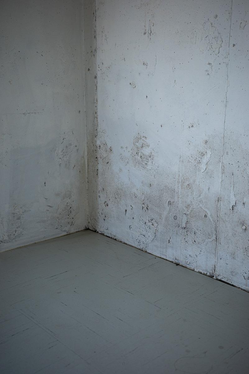 世田谷区瀬田の賃貸物件/壁面