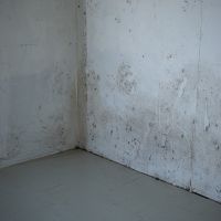 世田谷区瀬田の賃貸物件/壁面