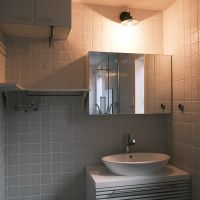 新宿区荒木町の売買物件/雰囲気の良い洗面所