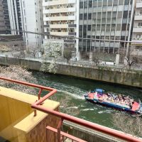 品川区西五反田の賃貸物件/目黒川をみる