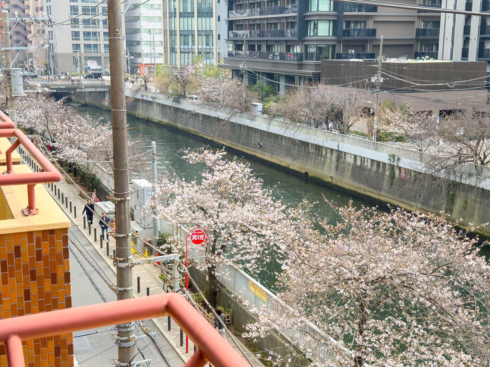 品川区西五反田の賃貸物件/ベランダからの景色。春には桜も楽しめる