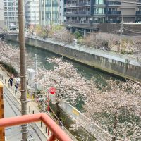 品川区西五反田の賃貸物件/ベランダからの景色。春には桜も楽しめる