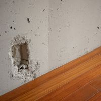 練馬区下石神井の賃貸物件/コンクリート壁と温かみのあるフローリング