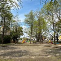 杉並区堀之内の賃貸物件/家の裏にある済美公園　済美山公園よりも近くて、こちらは遊具などがある