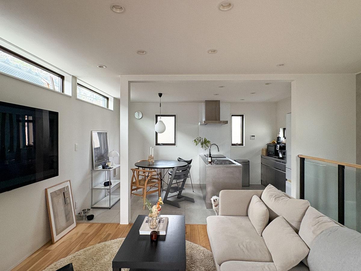 杉並区堀之内の賃貸物件/ソファー横からひょっこり顔を出してくれたトイプードルのおこめちゃん（かわいい）