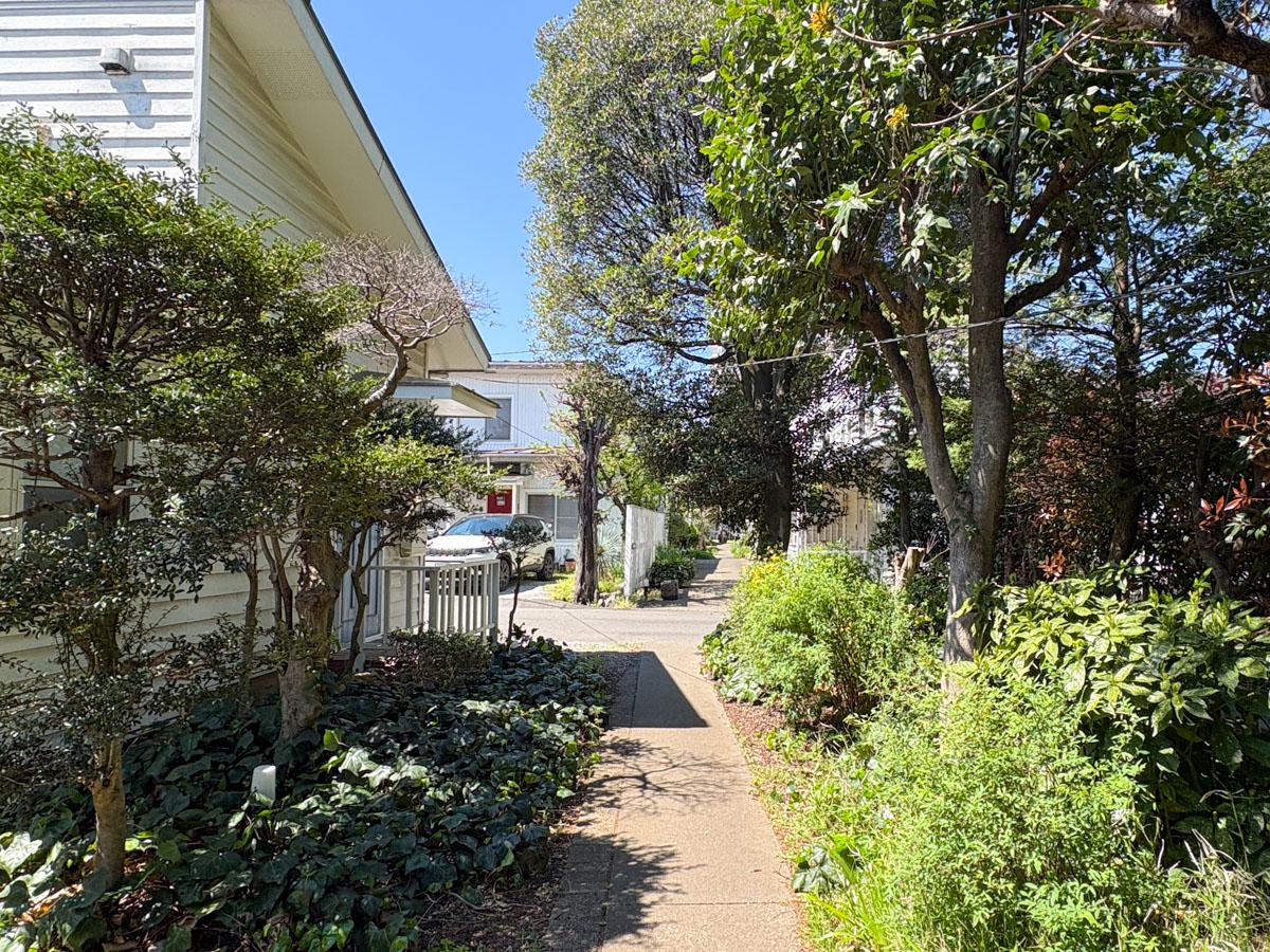 埼玉県入間市東町の賃貸物件/タウンの中は緑がいっぱい　ちゃんと管理されている系モサモサ