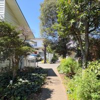 埼玉県入間市東町の賃貸物件/タウンの中は緑がいっぱい　ちゃんと管理されている系モサモサ