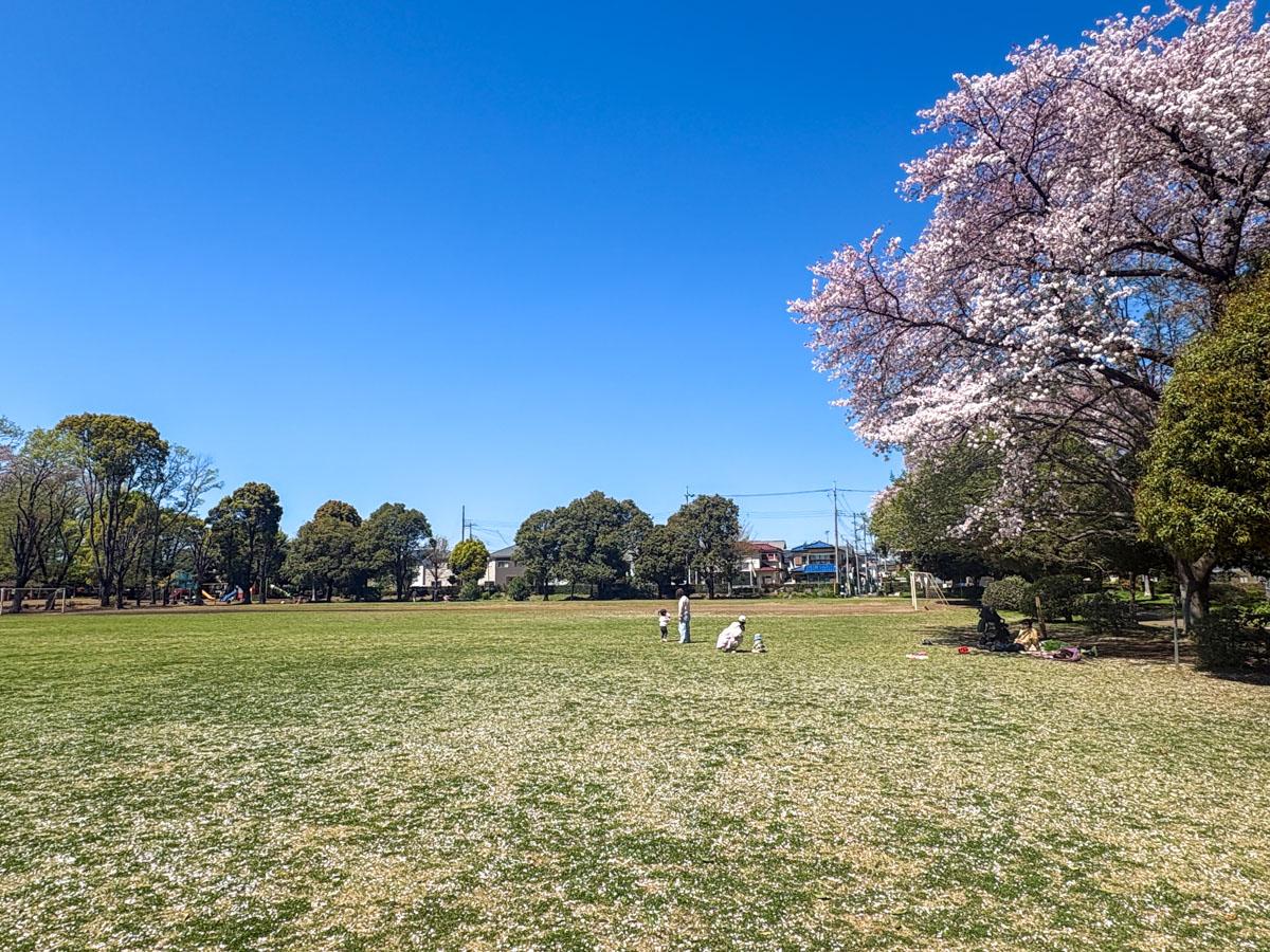 埼玉県入間市東町の賃貸物件/タウンの終わりには大きな公園がある　お花見に散歩に、理由をつけて通いたい場所