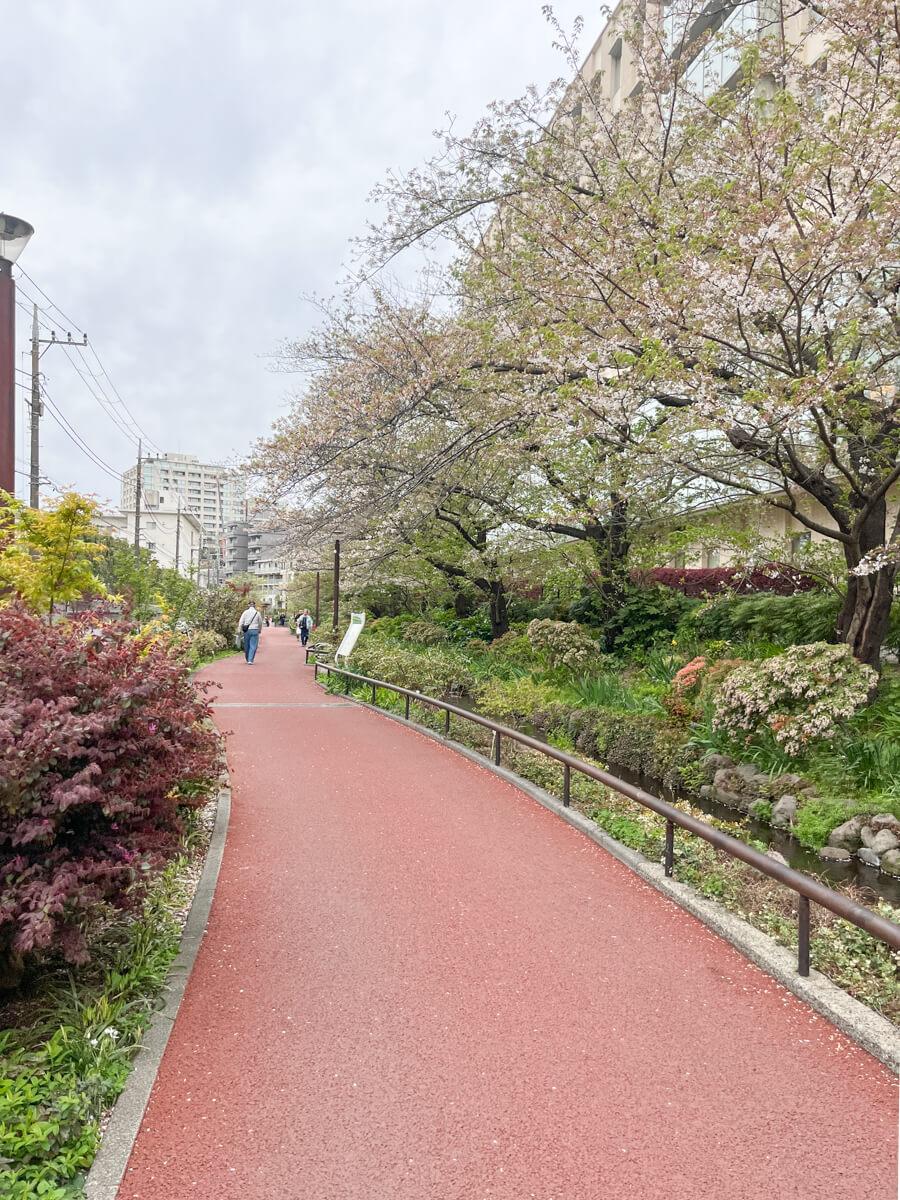 世田谷区池尻の賃貸物件