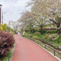 世田谷区池尻の賃貸物件